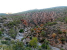 photo thumbnail #7