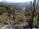 photo thumbnail #6