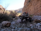 photo thumbnail #9