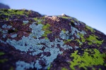 photo thumbnail #8