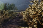 photo thumbnail #10