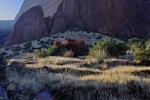 photo thumbnail #11