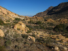 photo thumbnail #5