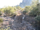 photo thumbnail #5