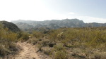photo thumbnail #1