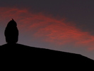 photo thumbnail #10