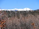photo thumbnail #5