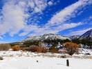 photo thumbnail #8