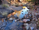 photo thumbnail #2