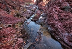 photo thumbnail #9