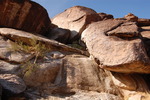 photo thumbnail #8