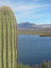 photo thumbnail #3