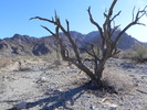 photo thumbnail #1