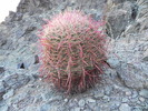 photo thumbnail #4