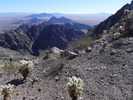 photo thumbnail #6