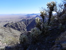photo thumbnail #13