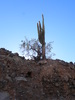 photo thumbnail #14