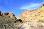 photo thumbnail #6