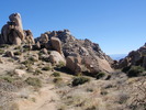 photo thumbnail #5