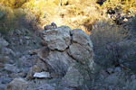 photo thumbnail #2