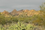 photo thumbnail #13