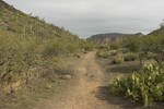 photo thumbnail #14