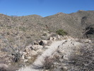 photo thumbnail #2