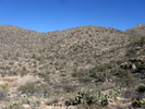 photo thumbnail #3