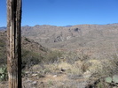 photo thumbnail #5