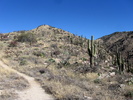 photo thumbnail #6