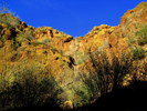 photo thumbnail #10