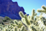 photo thumbnail #3