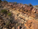 photo thumbnail #2