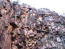 photo thumbnail #7