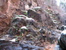 photo thumbnail #12