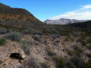 photo thumbnail #2