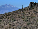 photo thumbnail #4