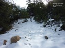 photo thumbnail #8