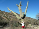photo thumbnail #10