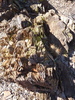 photo thumbnail #15