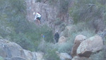 photo thumbnail #5