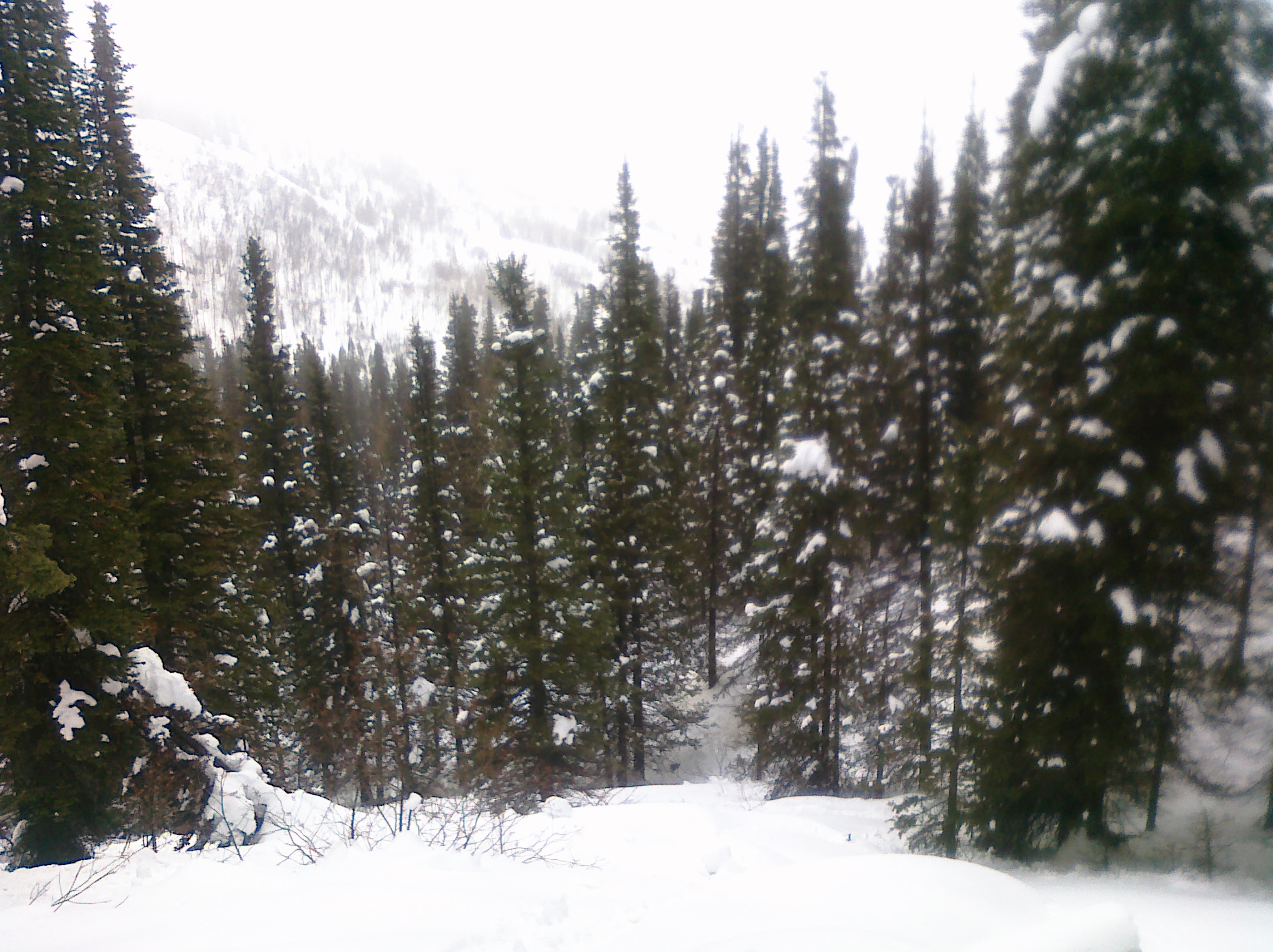 Lambs Canyon Trail, UT • Hike