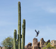 photo thumbnail #7