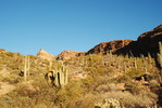 photo thumbnail #3