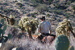 photo thumbnail #9