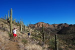 photo thumbnail #12
