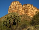 photo thumbnail #2