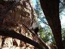 photo thumbnail #2