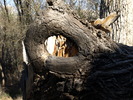 photo thumbnail #4