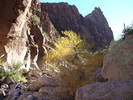 photo thumbnail #6